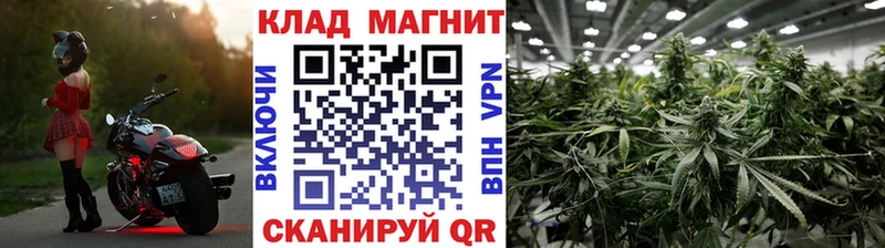 Купить наркотики сайты Новохопёрск ГАШ  МАРИХУАНА  СОЛЬ  Меф 