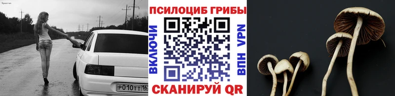 кракен ССЫЛКА  как найти закладки  Новохопёрск  Галлюциногенные грибы GOLDEN TEACHER 